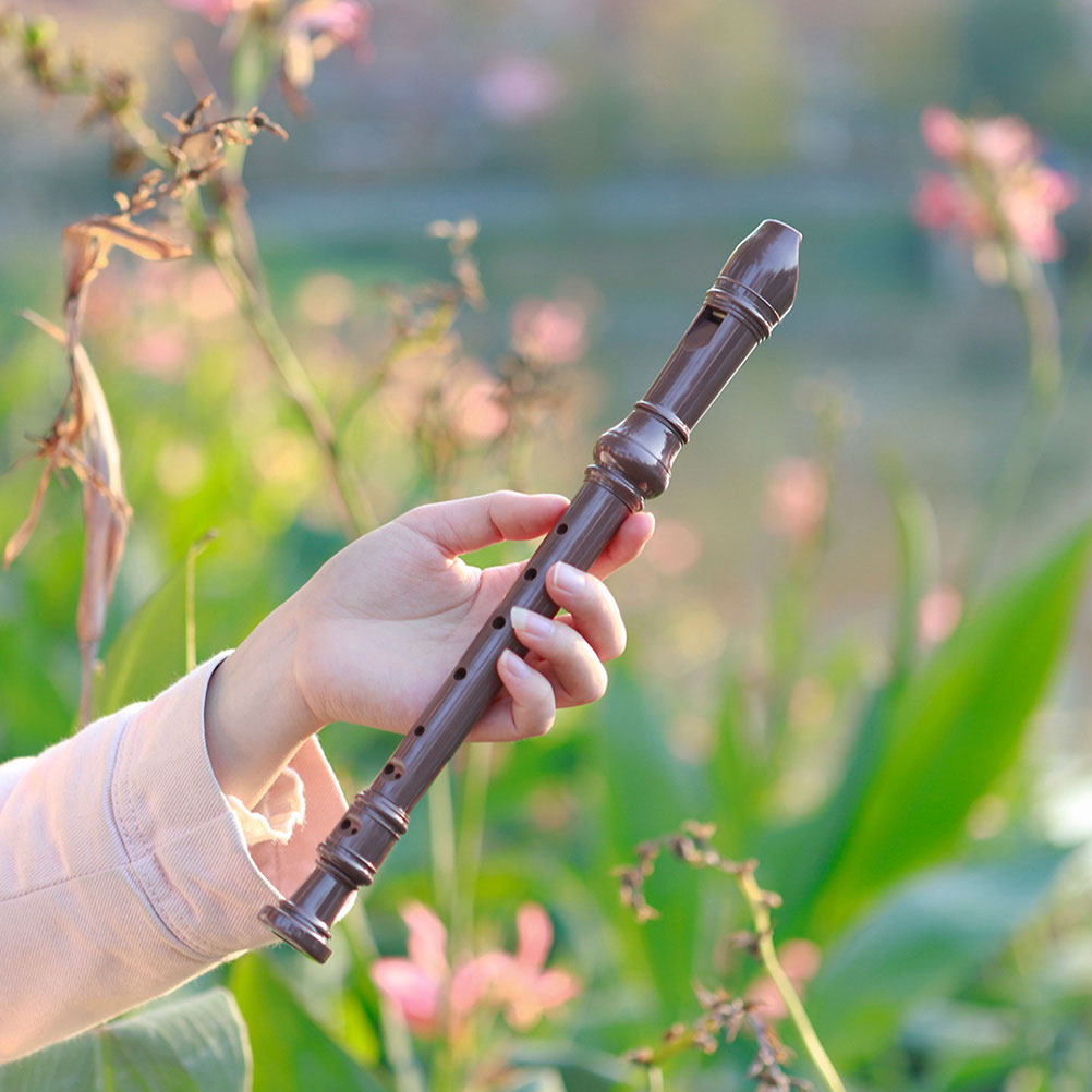 8 Hole Soprano Recorder Plasti - Soprano Recorder Plastic review and price